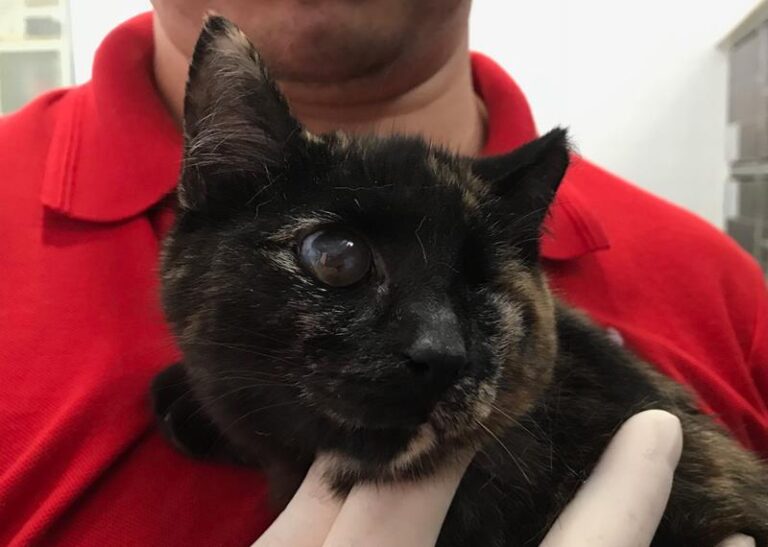 multimedia-foto61959-162-1