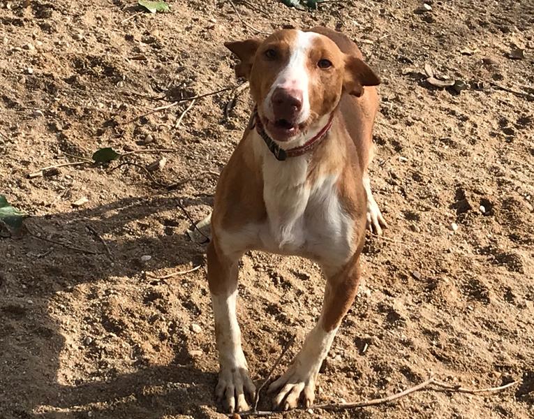 multimedia-foto61980-441-1