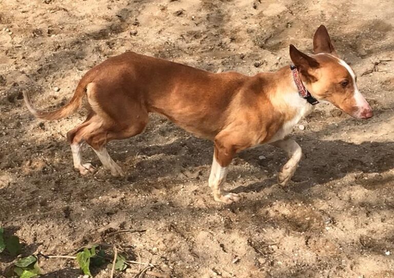 multimedia-foto61983-441-1