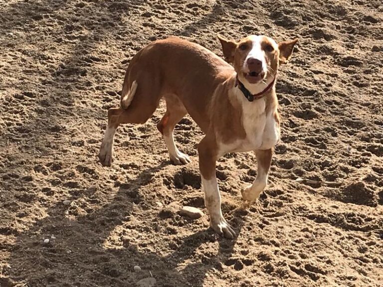 multimedia-foto61985-442-1