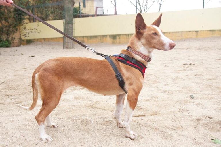 multimedia-foto61986-442-1