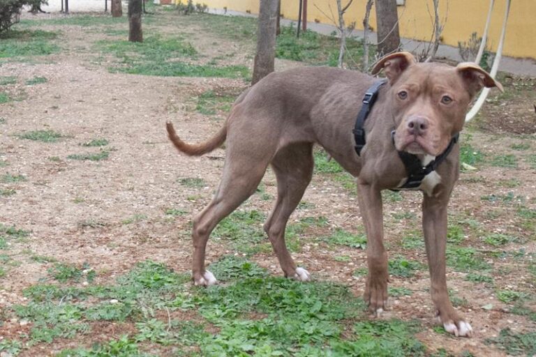 multimedia-foto61995-888-1