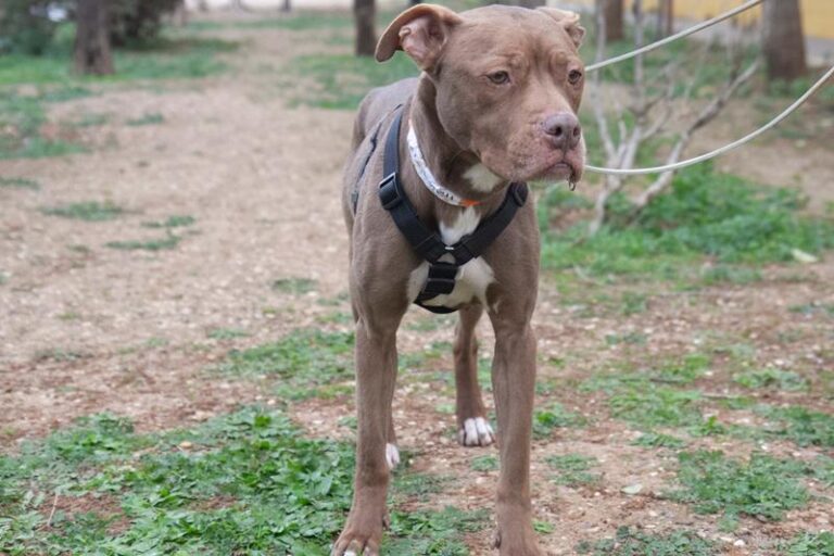 multimedia-foto61996-888-1