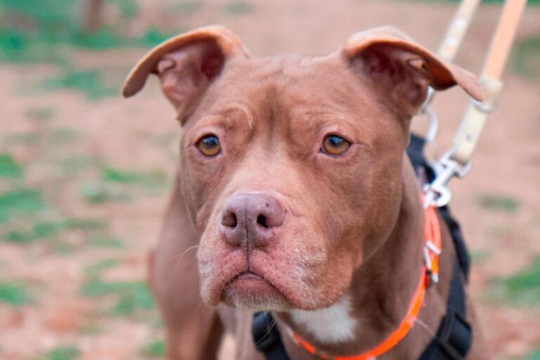 multimedia-foto61997-888-1