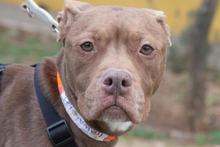 multimedia-foto61998-888-1