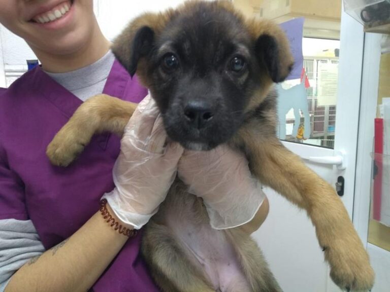 multimedia-foto62004-687-1