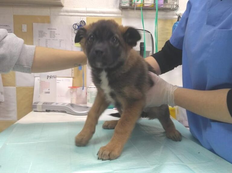 multimedia-foto62005-687-1