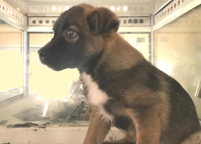 multimedia-foto62006-687-1