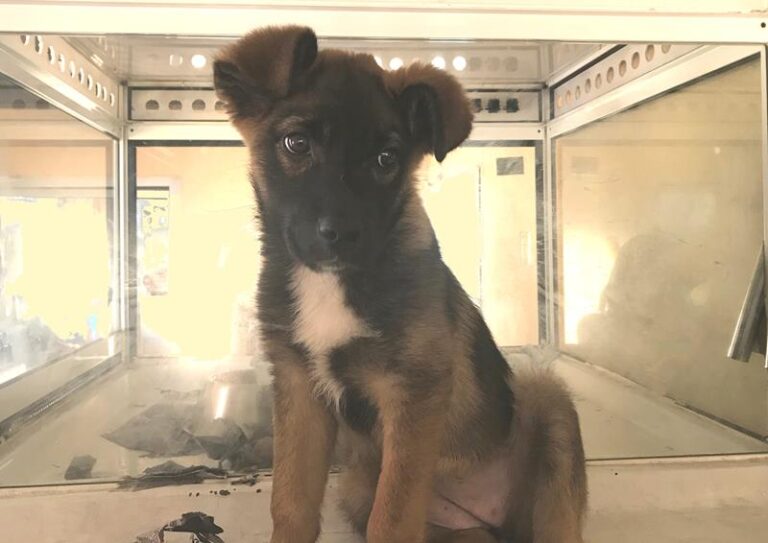 multimedia-foto62007-687-1