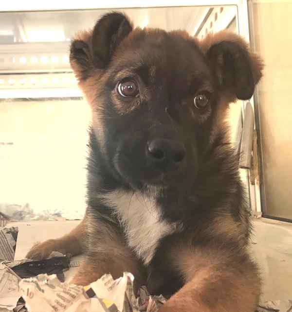 multimedia-foto62008-687-1