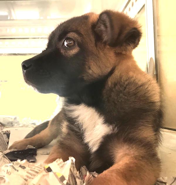 multimedia-foto62009-687-1