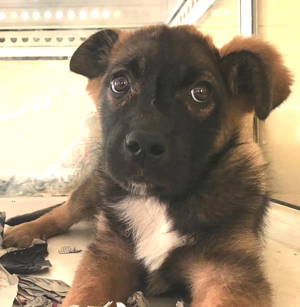 multimedia-foto62010-688-1