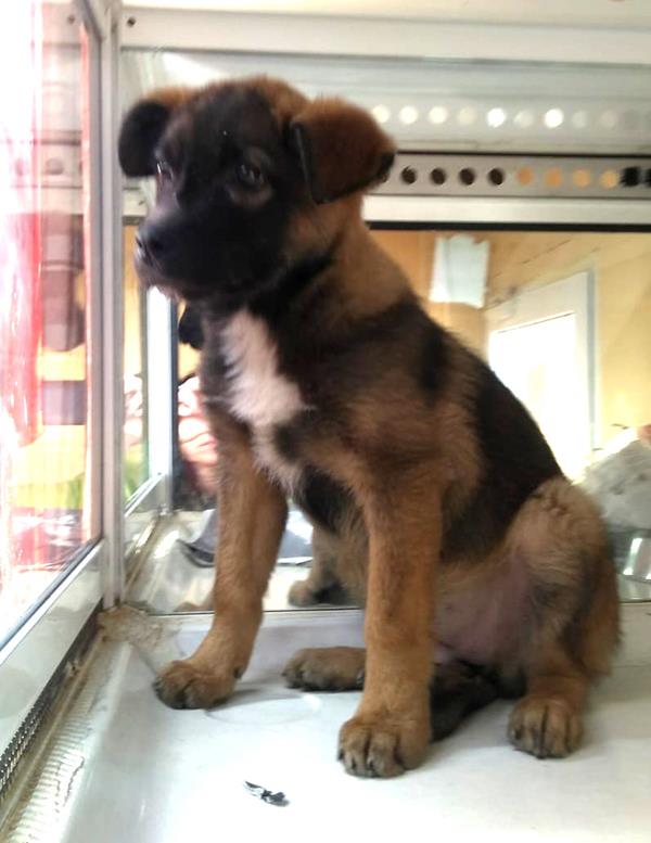 multimedia-foto62011-688-1