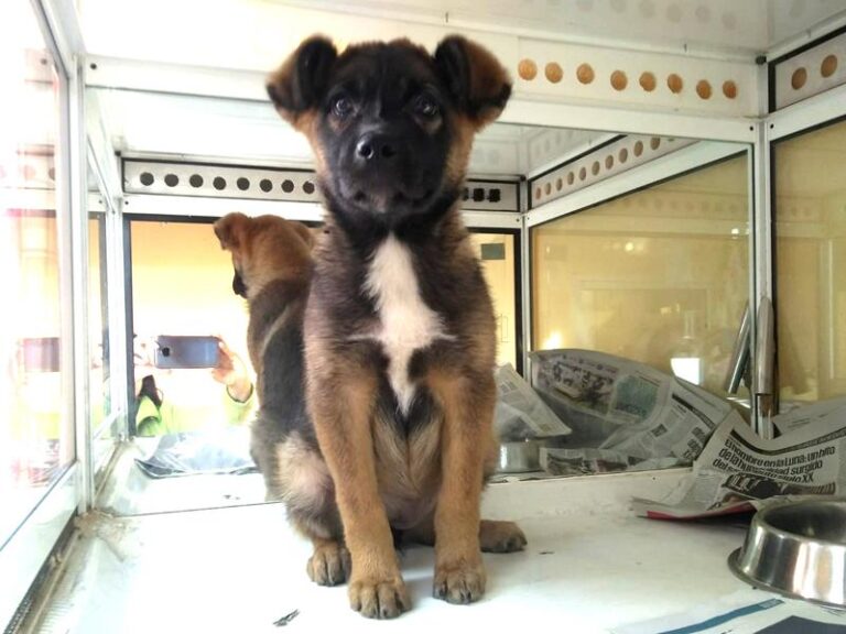 multimedia-foto62012-688-1