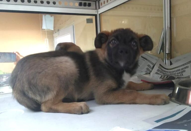 multimedia-foto62013-688-1