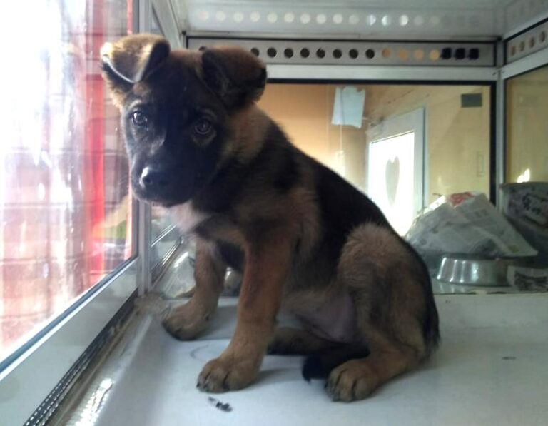 multimedia-foto62014-688-1