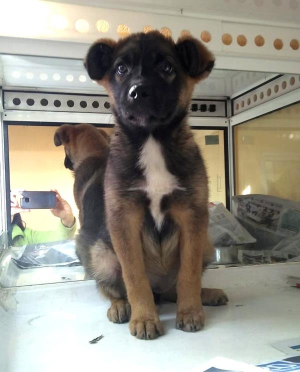 multimedia-foto62015-688-1