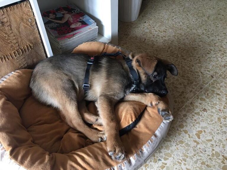 multimedia-foto62016-863-1