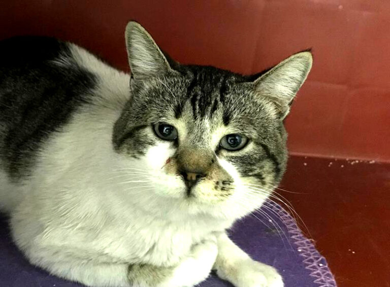 multimedia-foto62078-314-1