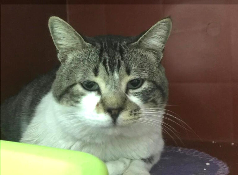 multimedia-foto62079-314-1