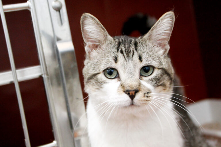 multimedia-foto62081-314-1