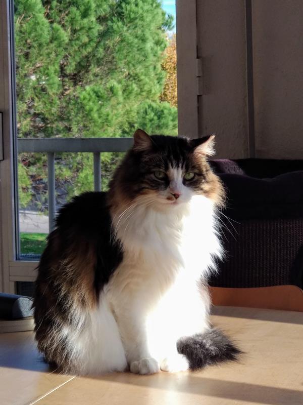 multimedia-foto62094-983-1