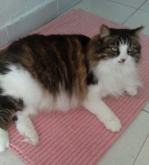 multimedia-foto62095-983-1