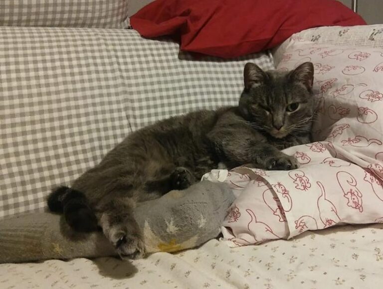 multimedia-foto62149-325-1