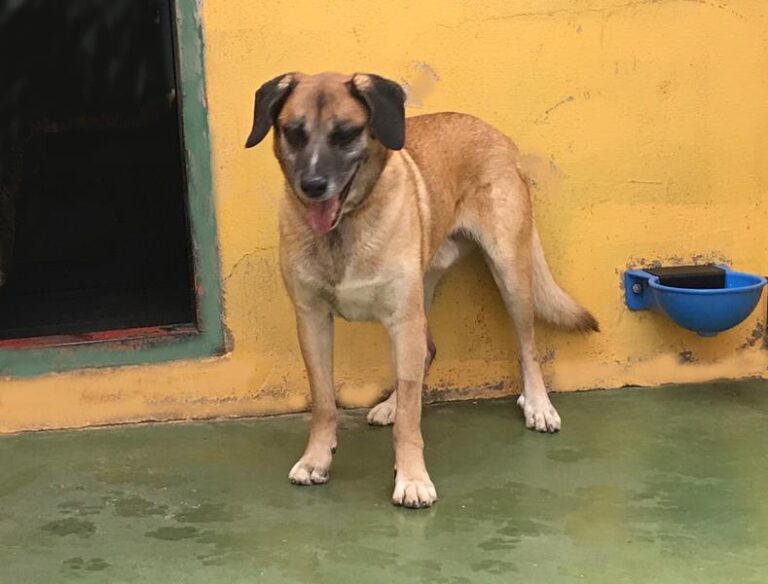 multimedia-foto62169-446-1