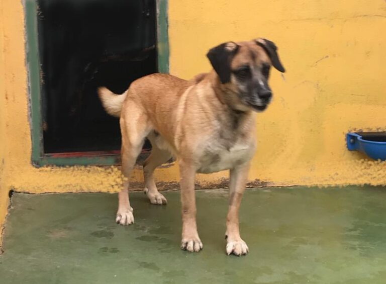 multimedia-foto62170-446-1