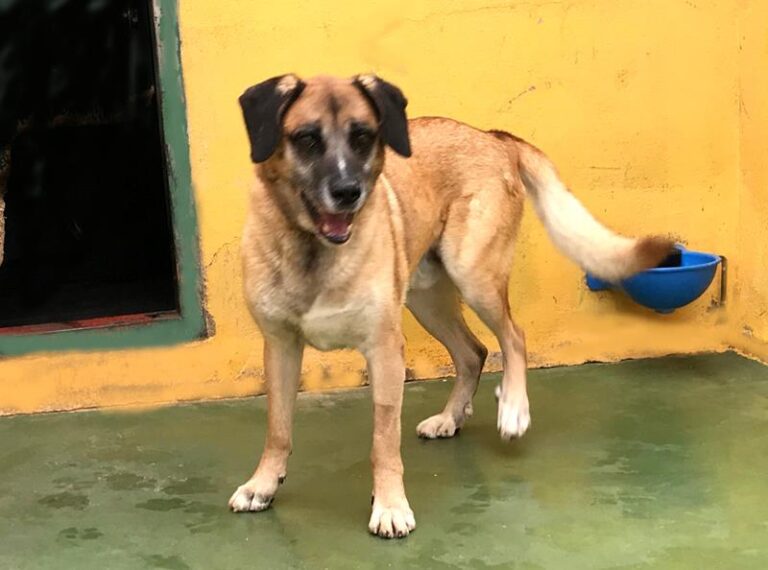 multimedia-foto62171-446-1