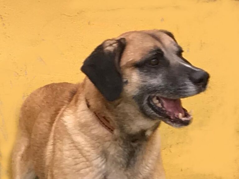 multimedia-foto62172-446-1