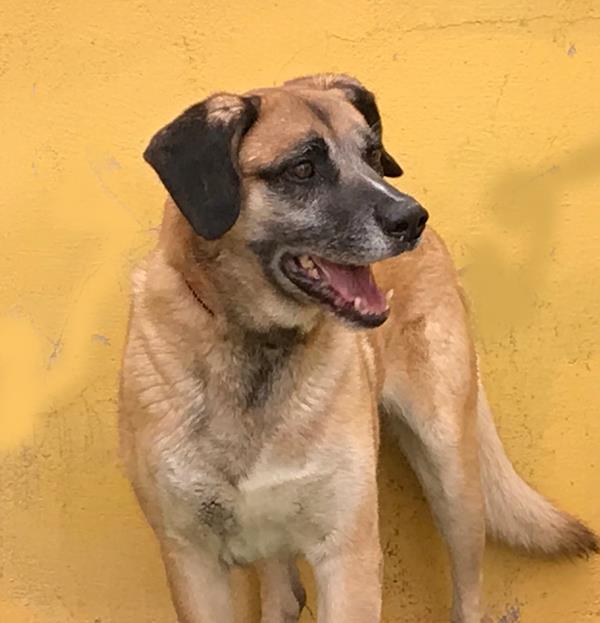 multimedia-foto62173-446-1