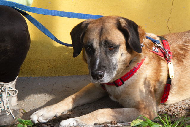 multimedia-foto62174-447-1