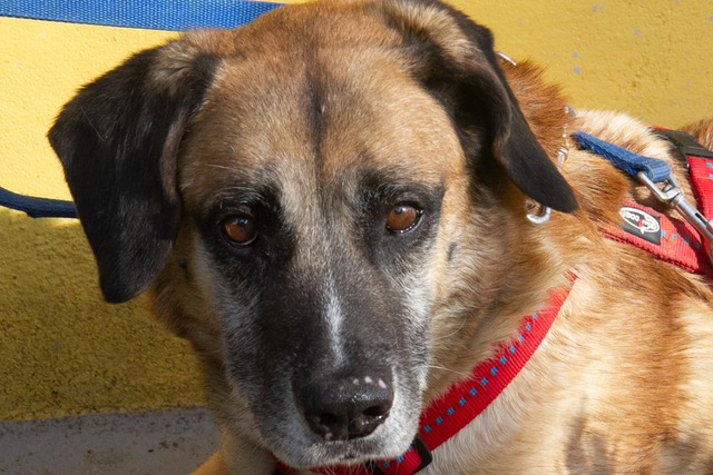 multimedia-foto62175-447-1