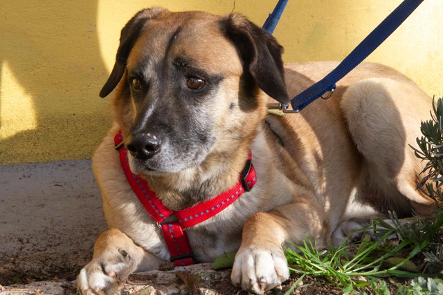 multimedia-foto62176-447-1