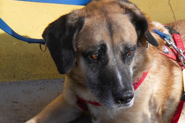 multimedia-foto62177-447-1