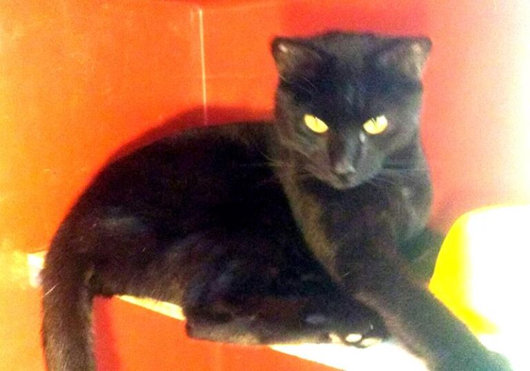 multimedia-foto62189-619-1