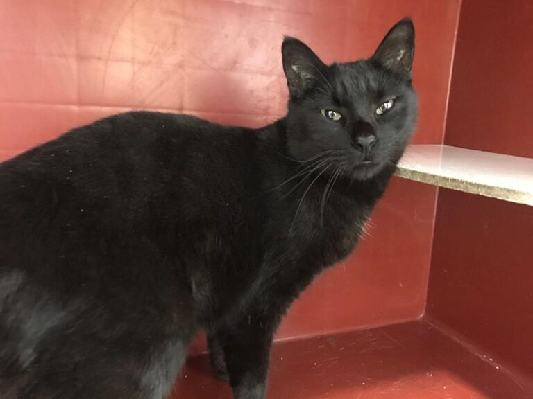 multimedia-foto62191-620-1