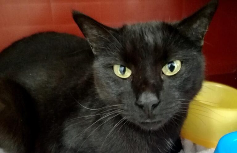 multimedia-foto62194-620-1