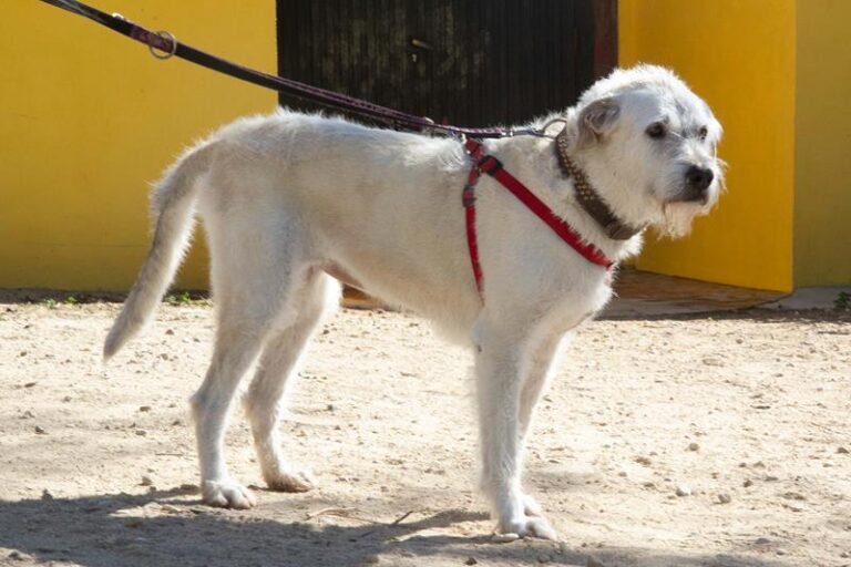 multimedia-foto62210-327-1