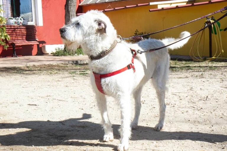 multimedia-foto62211-328-1