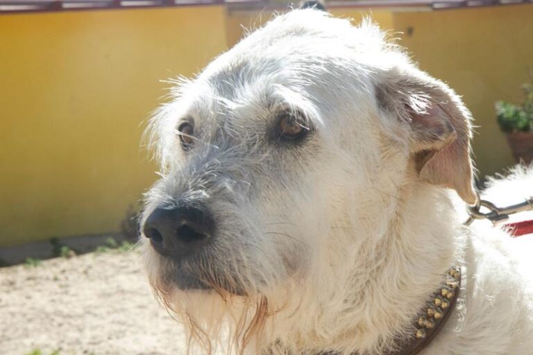 multimedia-foto62212-328-1