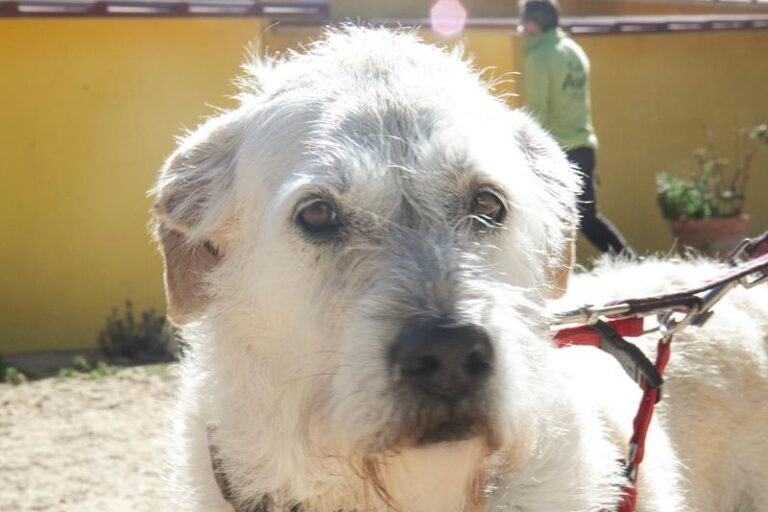 multimedia-foto62213-328-1