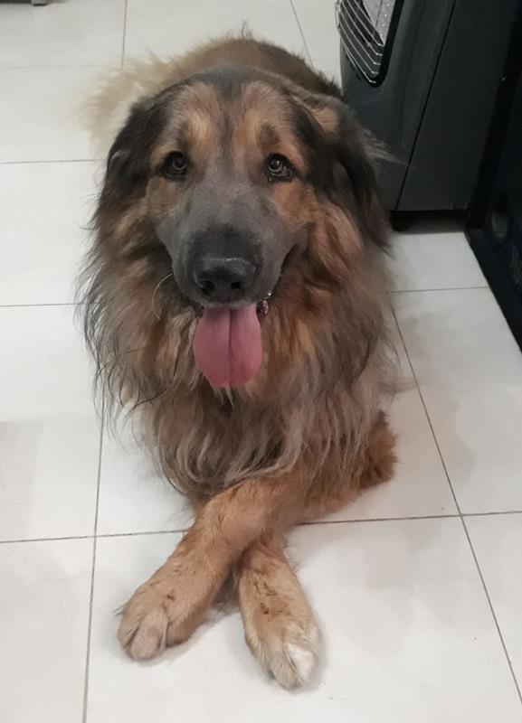 multimedia-foto62218-406-1