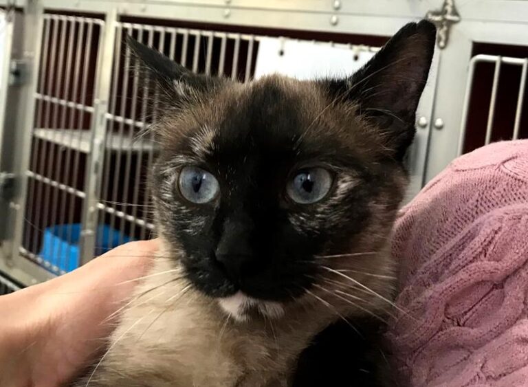 multimedia-foto62220-702-1