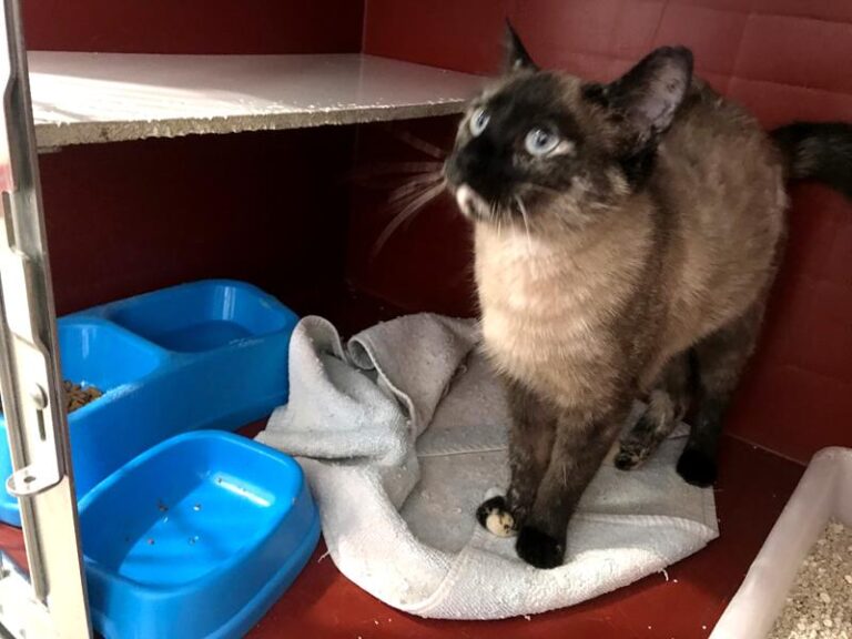 multimedia-foto62221-702-1