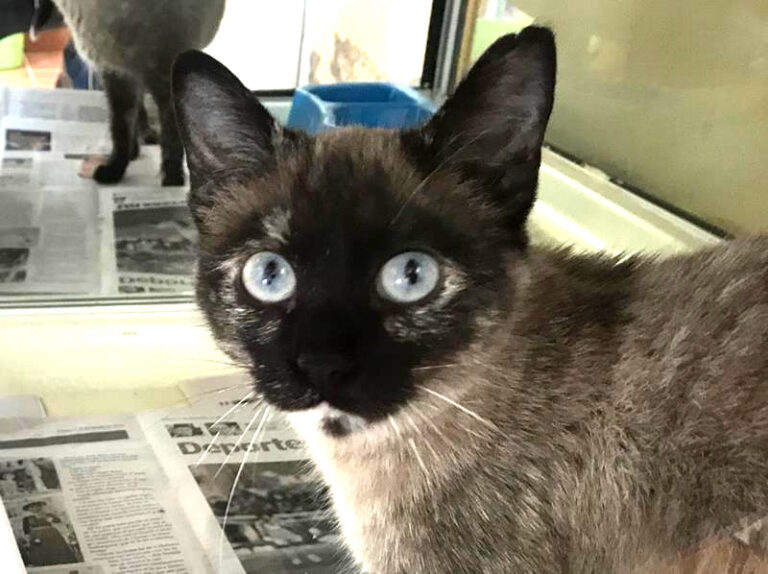 multimedia-foto62223-750-1