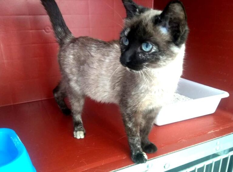 multimedia-foto62225-750-1