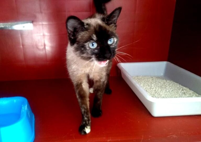 multimedia-foto62226-750-1